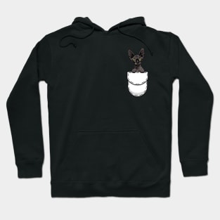 Funny Sphynx Pocket Cat Hoodie